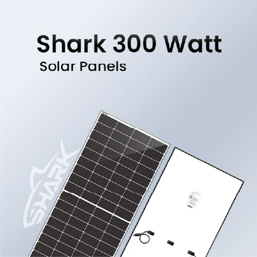 Loom Solar Panel 300 Wp - 12 V Module for Inverter Battery (80Ah-150Ah) Charging, Home Solar System (Pack of 2)
