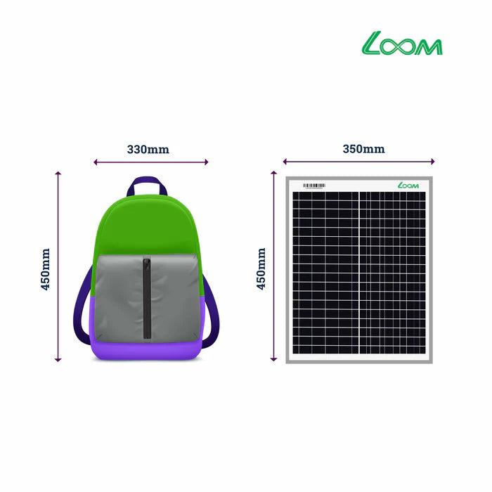Loom Solar 20 Wp, 12 V PV Module for Small Battery Charging & DIY Projects